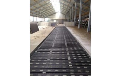 MeadowFloor für VOF Oudijk-Tinholt in Zeewolde