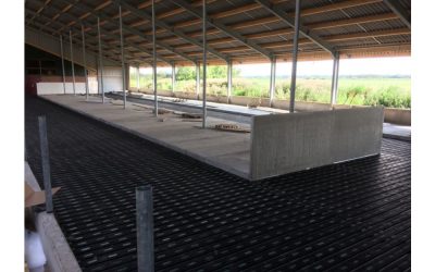 MeadowFloor für Familie Bosma in Oudwoude (NL)