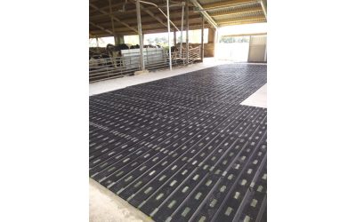 MeadowFloor und MeadowFloor Renovierung für Familie Hylkema in Oudega (NL)