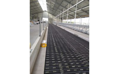 MeadowFloor in neuen Stall der Firmen Reitsma in Berlikum (NL)