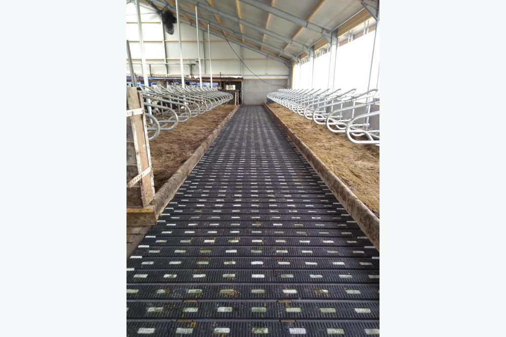 MeadowFloor voor Mts Politiek in Wons