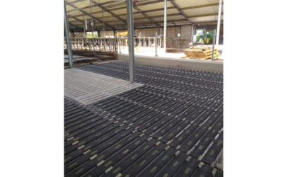 MeadowFloor en MeadowFloor Renovatie