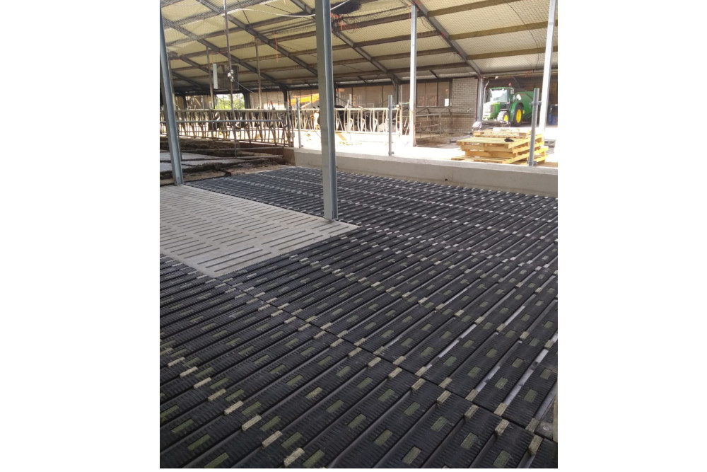 MeadowFloor en MeadowFloor Renovatie