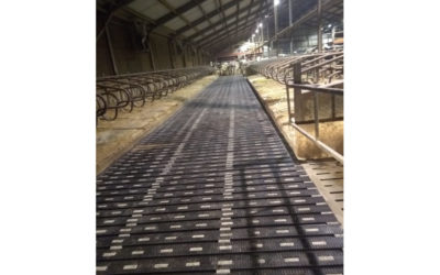 MeadowFloor Renovatie in Hilvarenbeek