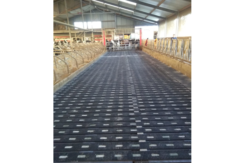 MeadowFloor Renovatie in Westbroek (Utrecht)