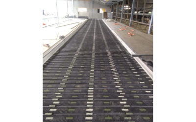 MeadowFloor nieuwbouw in Buitenpost.