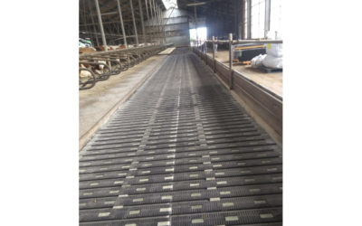 MeadowFloor Renovatie in Staphorst.