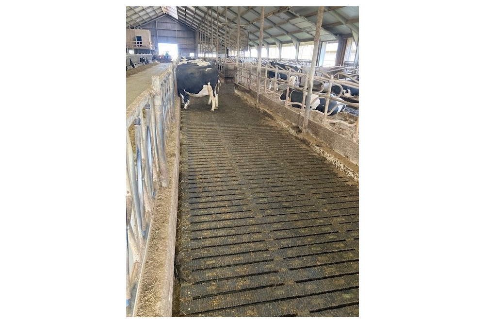 Met de MeadowFloor het koecomfort optimaliseren